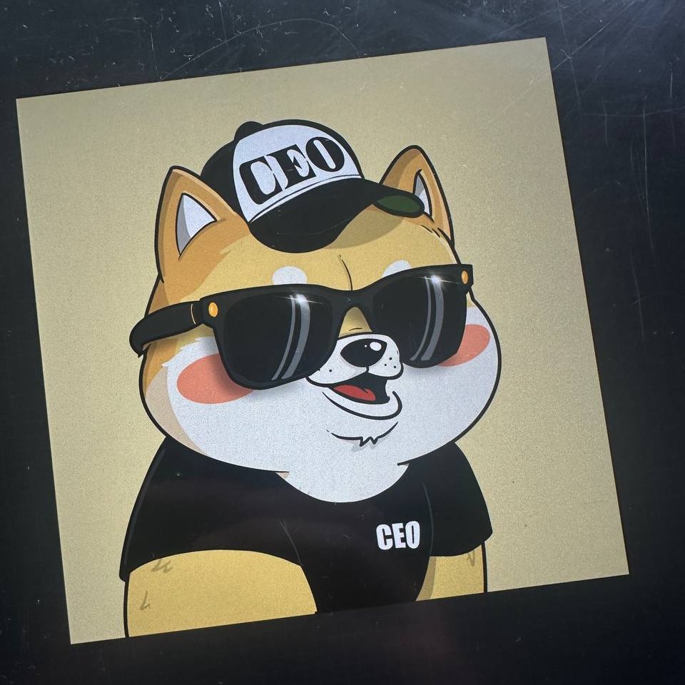 BecomeACEO's tweet photo. Here is a sneak peak of our upcoming NFT drop 👀

The $CEO loves #BNB so they will be minted on the @BNBChain ❣️ with a limited supply of ONLY 200 😱

Holding a CEO NFT you will get a portion of the profits from the #CEO Clothing Band Store and the CEO Virtual Debit Card Service 💵

#IAMCEO #BNB #BNBChain #memecoins #NFTs