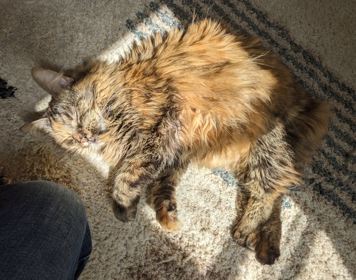 Connectivity NWR tweet media