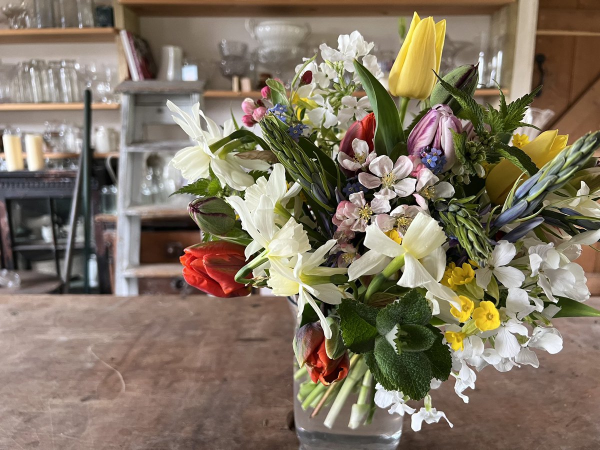 Over on the ‘tube this eve harvesting #tulips and creating bouquets -     youtu.be/BZtABtm-TX8 #somersetflowers #flowerfarmersyear #tulips #flowerharvest #ecoflowers #feedthebees
