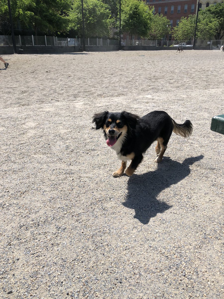 adam_kershner's tweet image. What are you building today? 🐶

I just got off a call with the YouTuber “Dating Beyond Borders.” Now I am looking for ideas for content we can make about dating abroad

If you have any questions/ideas around the concept of dating abroad! LMK!!! ⬇️

#buildinpublic #youtubechannel