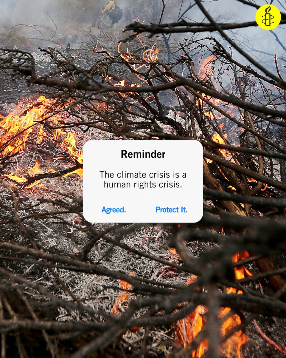 Amnesty International tweet media