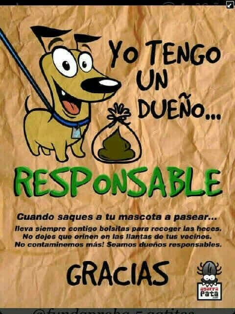 AmandyMacedo's tweet photo. Sea cultos
No sucios 😔 en su barrio
Los vecinos no tienen por Q escuchar tonterías x la #irresponsabilidad de 3ros
Maleducados #Guayaquil
#nortedeguayaquil
Campaña urgente de conciencia de limpieza
#Municipios #urvaseo
#alcaldiagye vecinos groseros se ofenden
#guayas https://t.co/EjYUfZbFNQ