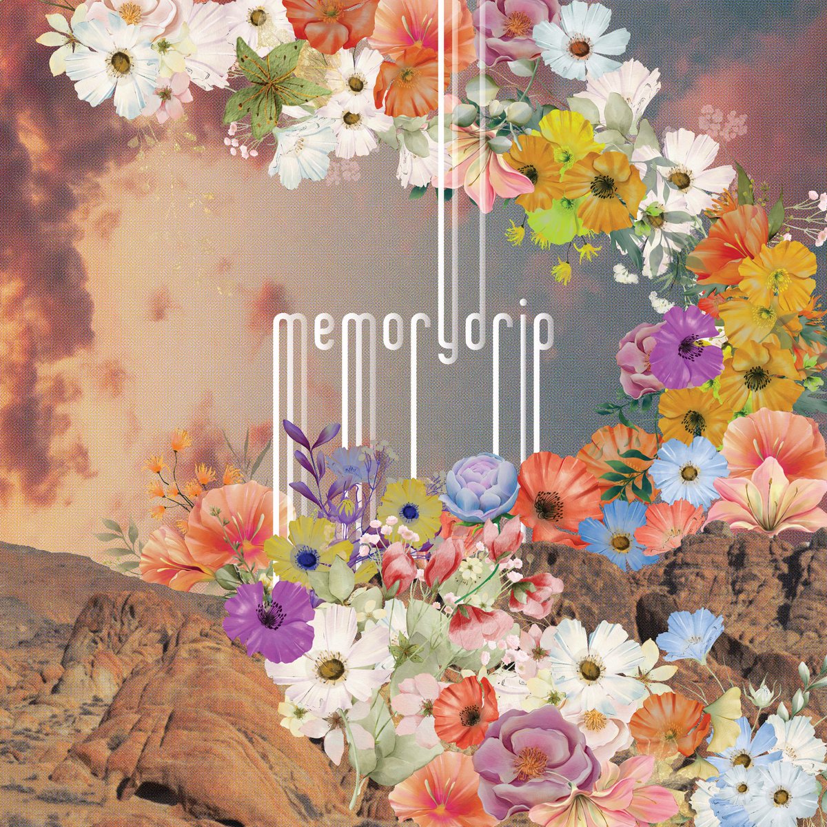 memorydrip's tweet photo. the memorydrip EP is out today 🌸🌼🌺🥀🌻🌹

https://t.co/WE4rYVJMlf https://t.co/CZKGbO1j4A