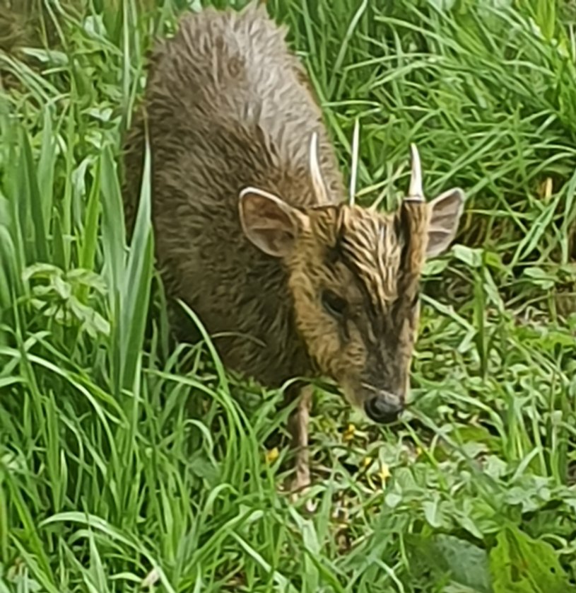 Nature Immersion, Nature Connection and Nature Creativity Retreat Days on the Kennet and Avon Canal and River Avon throughout 2023. 

eventbrite.co.uk/e/226602112017

#Bristol #Bath #natureconnection #authenticself #truenature #selflove #selfhealing #innerwork