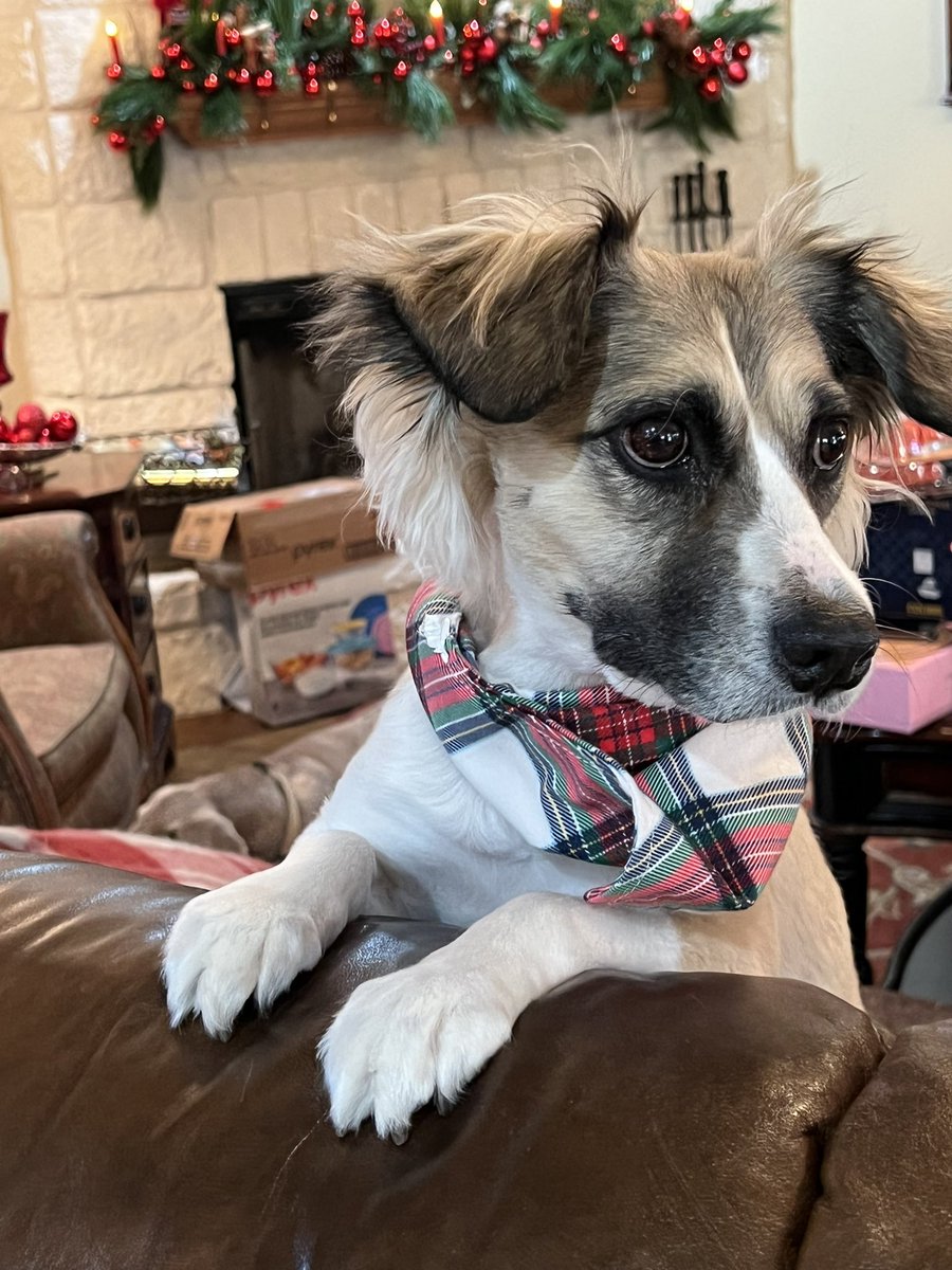 Slowthoughts tweet media