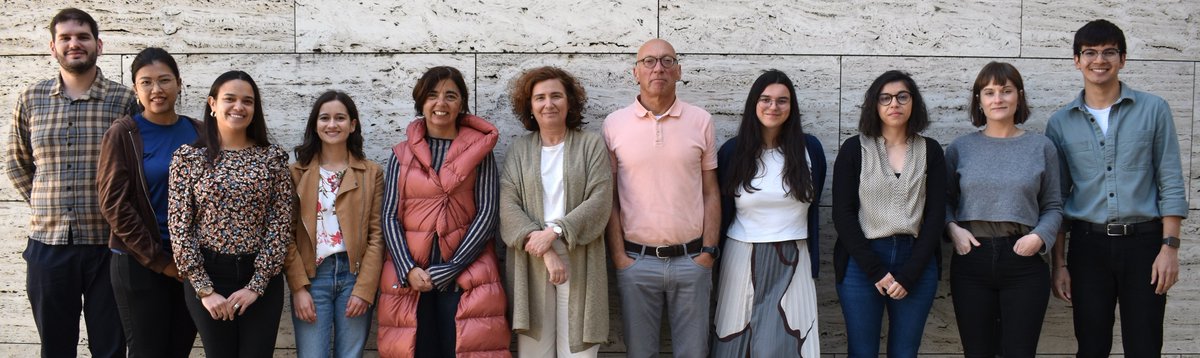 Carla Gonçalves tweet media