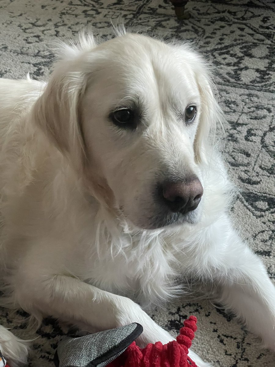 just bein hamsome as usual