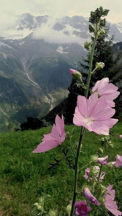 Buenas tardes🌸
<a href="/ArelisS78/">Arelis</a>
<a href="/Magdalenac1965/">Magdalena</a>
<a href="/Minnie15m/">Minnie</a>
<a href="/Oswaldito2023/">Oswaldito</a>
<a href="/Jade9807F/">Jade</a>
#JuegosDeportivosALBA