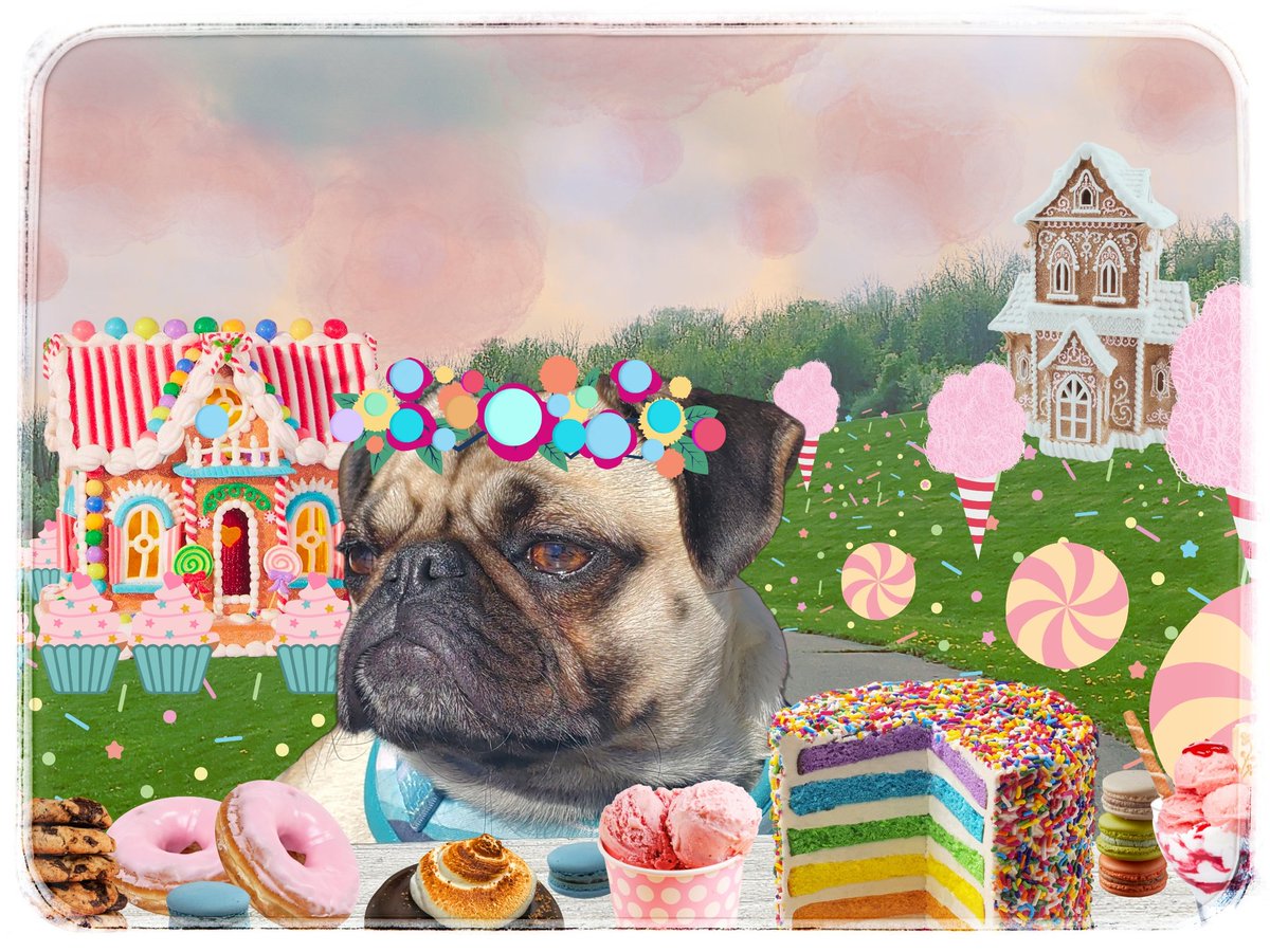 The_Pugess's tweet photo. Tune in Twitters,

🟠⚪🟣🔴🟢🟡
CandyVision 📺
🟢🔴🟡⚪🟠🟣

Luvs gemma 🍭

#puglife #candyland #pugs https://t.co/UBgqCYSHVf