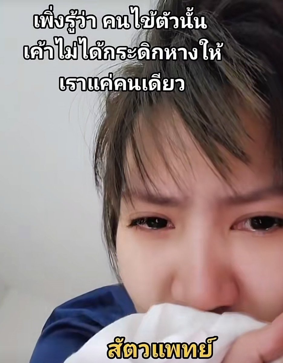 🕊️(ノ`⌒´)ノiDiN™ tweet media