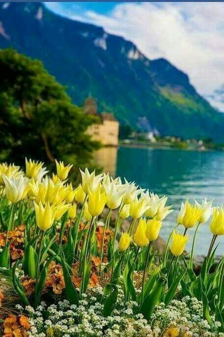 Buenas tardes🌸😸
<a href="/ArelisS78/">Arelis</a>
<a href="/Daymars2003/">Daymar</a>
<a href="/Magdalenac1965/">Magdalena</a>
<a href="/Oswaldito2023/">Oswaldito</a>
<a href="/Jade9807F/">Jade</a>

#JuegosDeportivosALBA