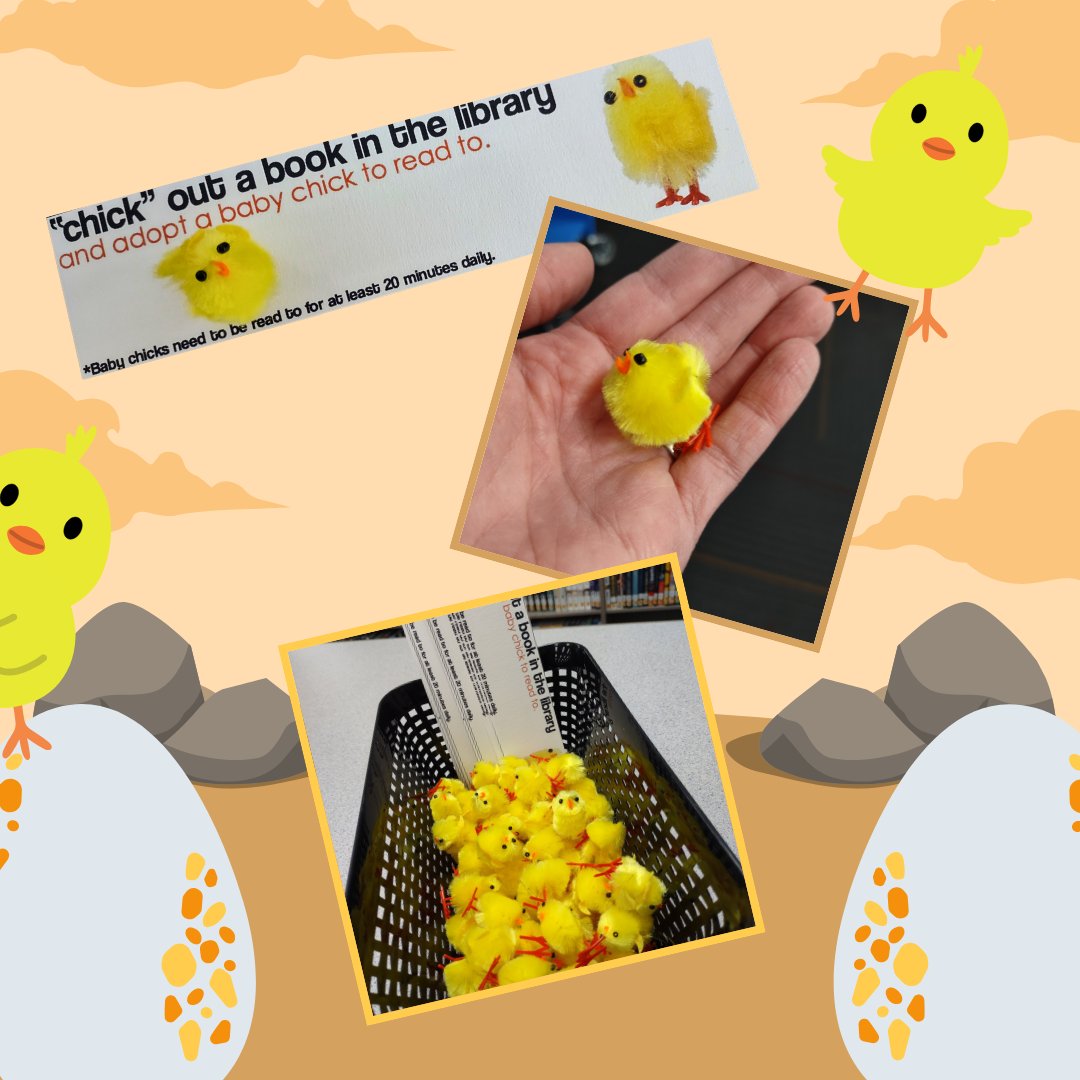LibraryNpms's tweet photo. Springtime in the library means BABY CHICKS! Check out a book, & then adopt a "baby chick" to read to. Baby chicks need at least 20 mins of reading each day! Limited supply, so it's 1st-come, 1st-serve. (Thanks to @thebookwrangler for this fun idea) #NPMSGrizzlies #WSDLibraries https://t.co/gJ9f9vn5YA