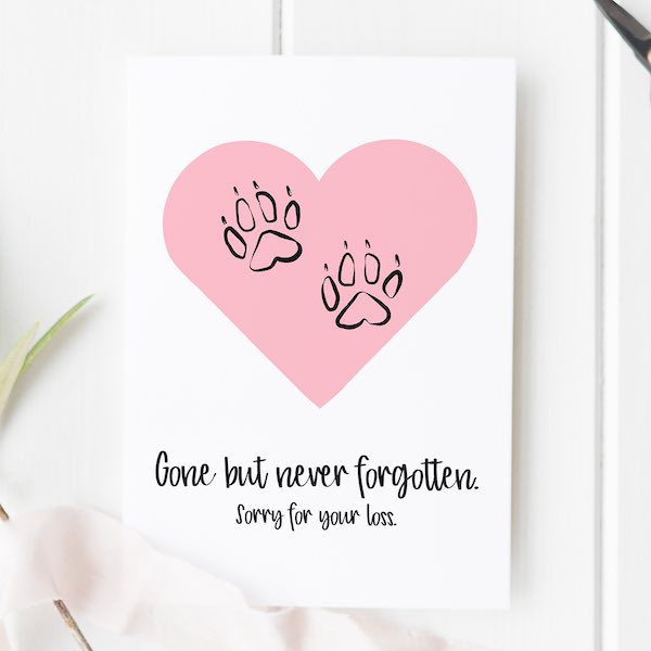 Cowledknight_'s tweet photo. @PussyAllure // I'm sorry, Kitten. Sending you love 💙 https://t.co/LSk5EPPIIi