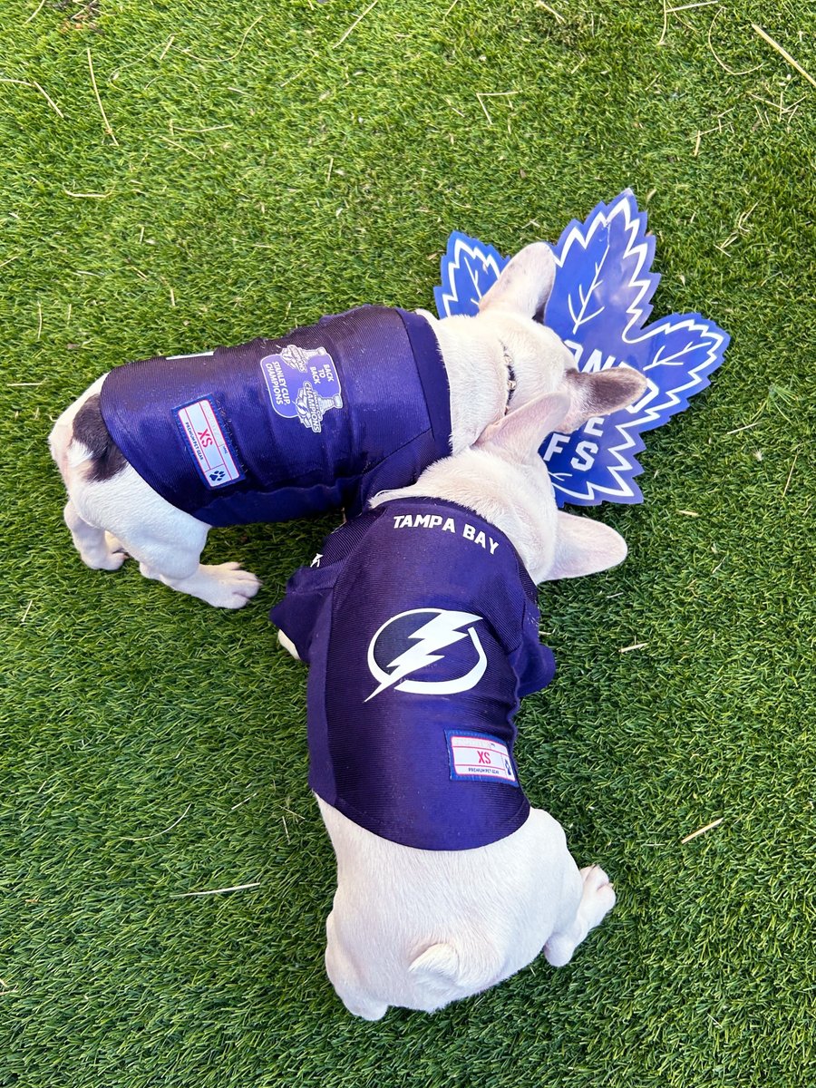 Happy Friday! 🎉
We have a good idea of how Saturday's @tblightning game is going to go down! Check out Lightning and Bolt's jerseys!👕
#tblightning #hockey #bethethunder #boltsnation #gobotls #boltssocial #tampabay #stammer #hedman #kucherov