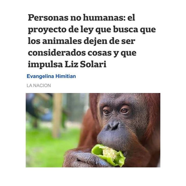 sintientesong's tweet photo. #LeySintientes EN LOS MEDIOS - #SentientLaw IN THE MEDIA ✊🏼

✍️ Firmá / Sign our Petition

https://t.co/extRNkCZpd 

#DerechosAnimales #AnimalRights #Argentina 

🙏🏻❤️🐾🌱🌎✊🏼 https://t.co/CCOedFWdnI