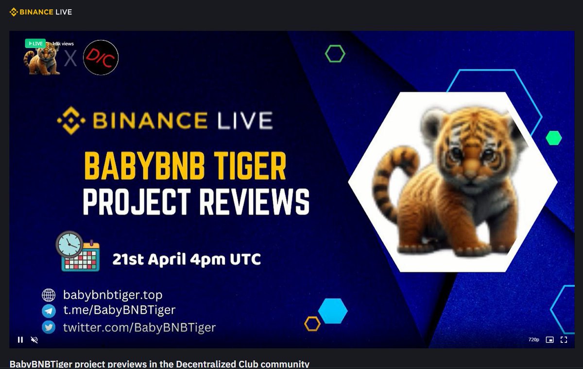 BabyBNBTiger tweet media