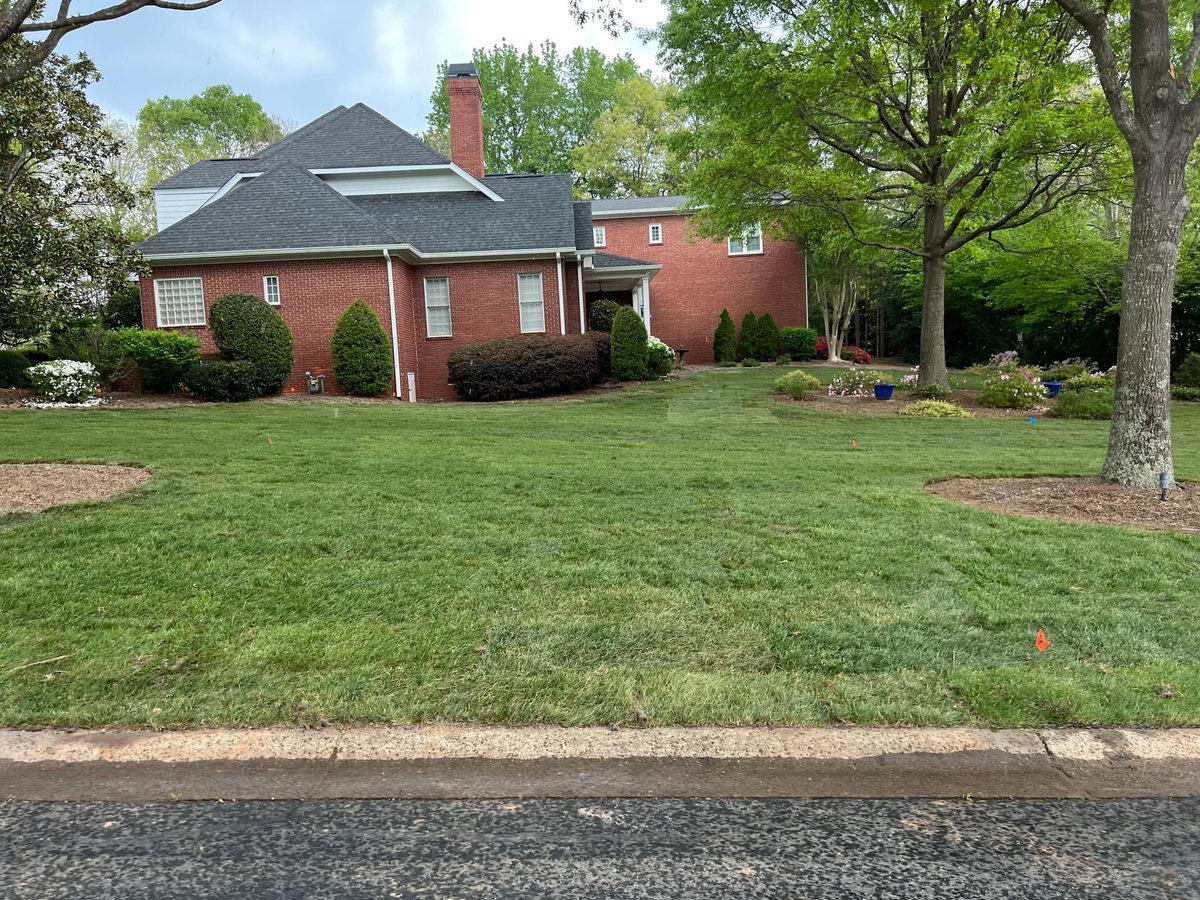 31 pallets of Fescue later 🏡
#fescue