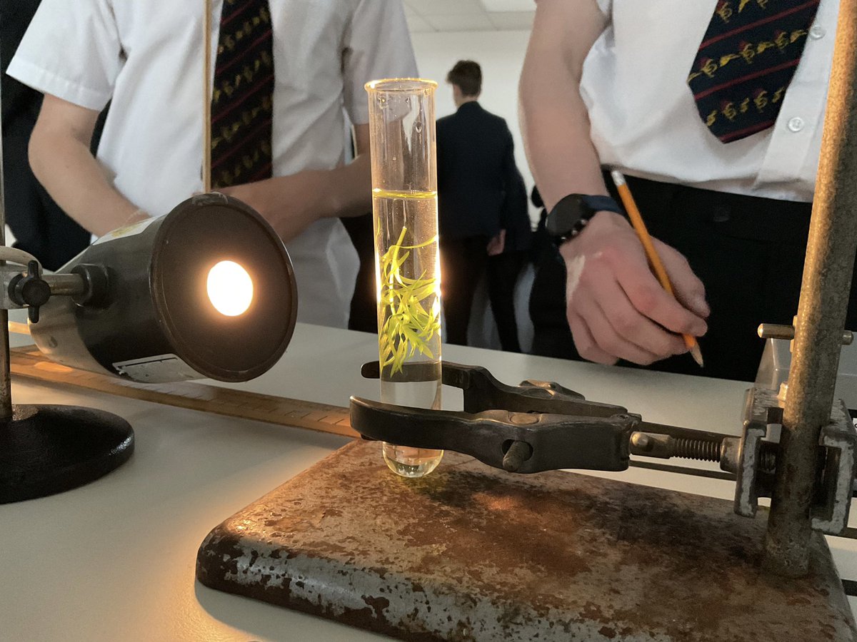 LesQScience's tweet photo. We’ve been out in the spring Sun doing Biology practicals this week 🌱 ☀️ https://t.co/r4jlH4sPO1