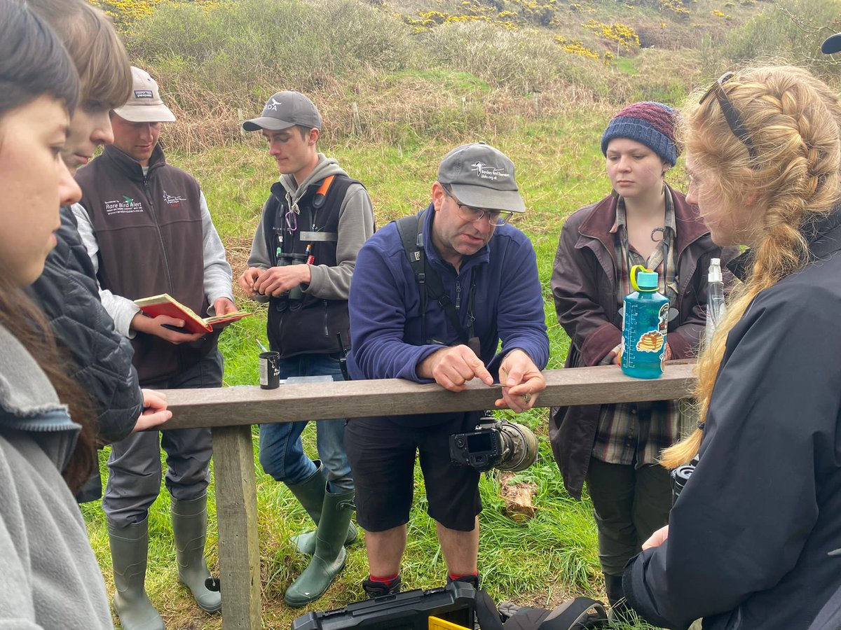 Bangor University Birdwatching Society tweet media