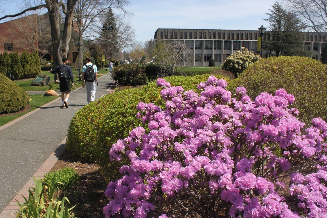 AdelphiU's tweet image. Happy Friday, #AdelphiFamily ! We hope you’ve had a great #SpringAtAdelphi week! ☀️🌷