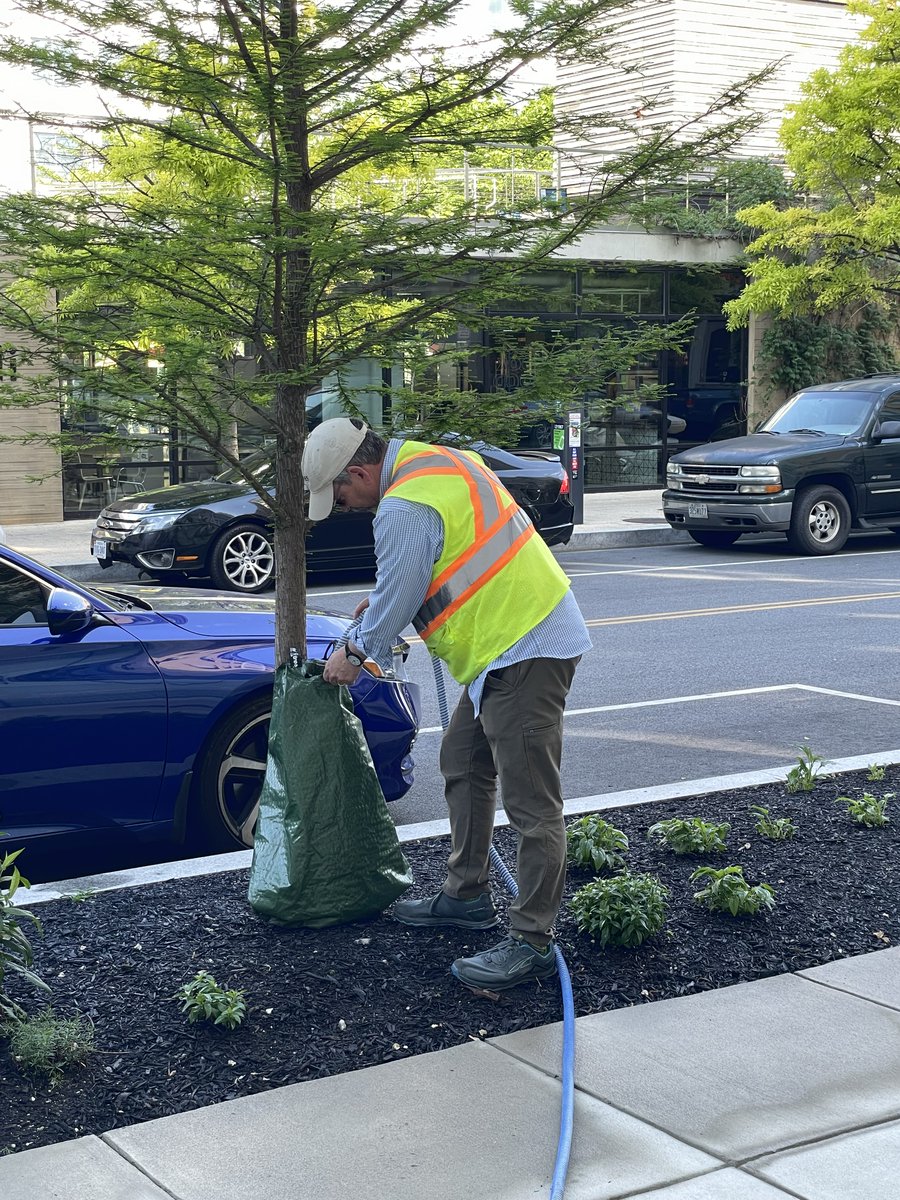 DDOTDC's tweet photo. Let's help our trees beat the heat today!🌳 💦 With recent dry conditions and warm weather, they could use a little extra love, #DC. Visit https://t.co/TKHMf5lj3Q to log your watering activities and locate newly planted trees in need. #DDOTDC https://t.co/mwIMocmhQ1