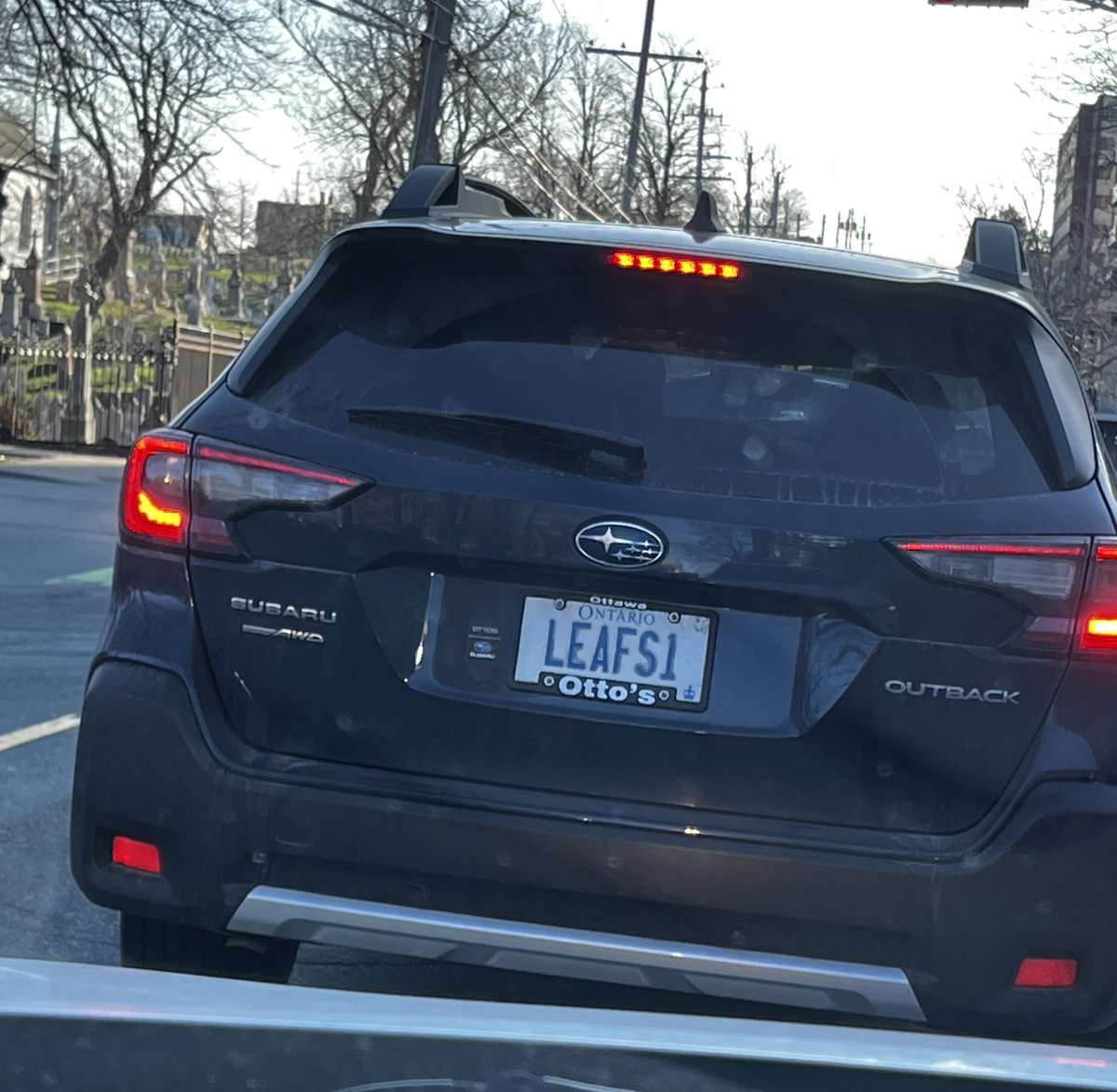 Amy Langdon tweet media