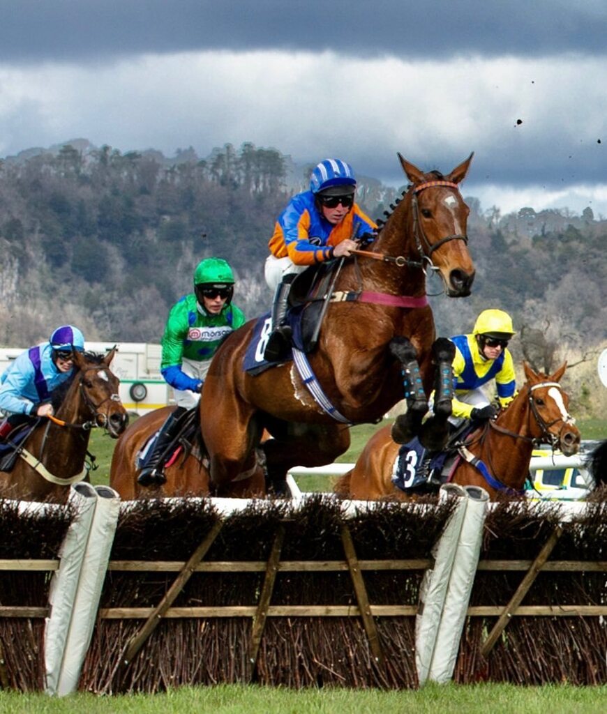 Lovely LAGONDA, leaping like a chaser, wins over hurdles at Chepstow ten days ago. 🏇 instagr.am/p/CrTh-jPIexP/