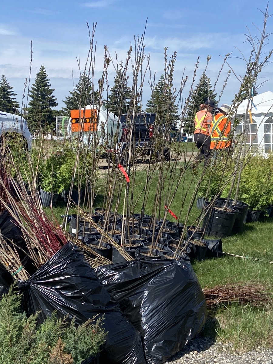 davebeaton4's tweet photo. Natural Areas crew from @CityofGuelph Parks preparing for the Earth Day Planting at Hanlon Creek Forest. Join us Saturday April 22nd, 9AM-2PM at 335 Laird Dr. #RotaryForest @TreesforGuelph @RotaryGuelph https://t.co/5AvSGXxzYS
