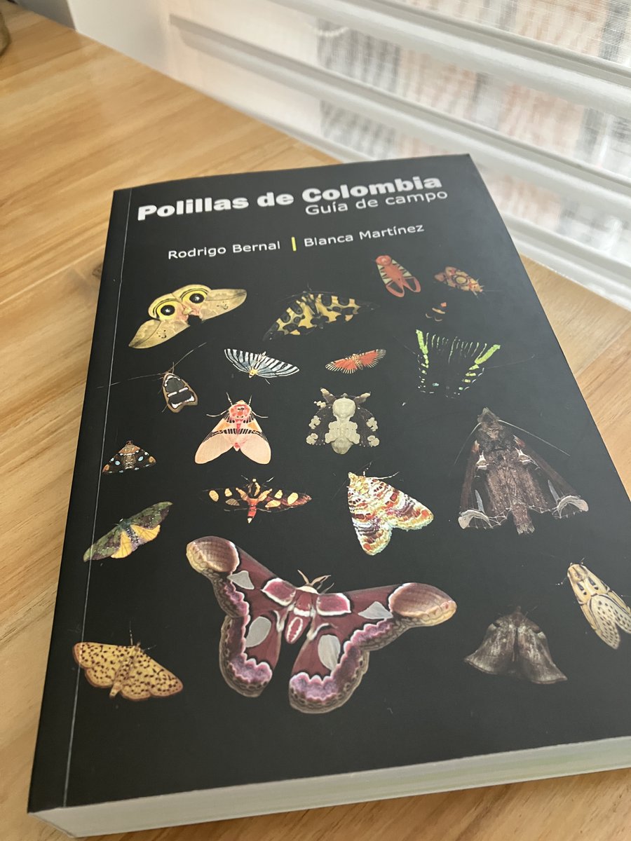IsazaCarolina1's tweet photo. ¿Si saben que tenemos una guía de polillas de Colombia? Esos bichitos ninguneados y nocturnos, que si los miramos detenidamente, son hermosos y con funciones ecosistémicas clave. Rodrigo Bernal y Blanca Martínez llevan aaañooos detrás de este sueño. Yo tengo mi guía y ¿usted? https://t.co/DSmbBA4aB9