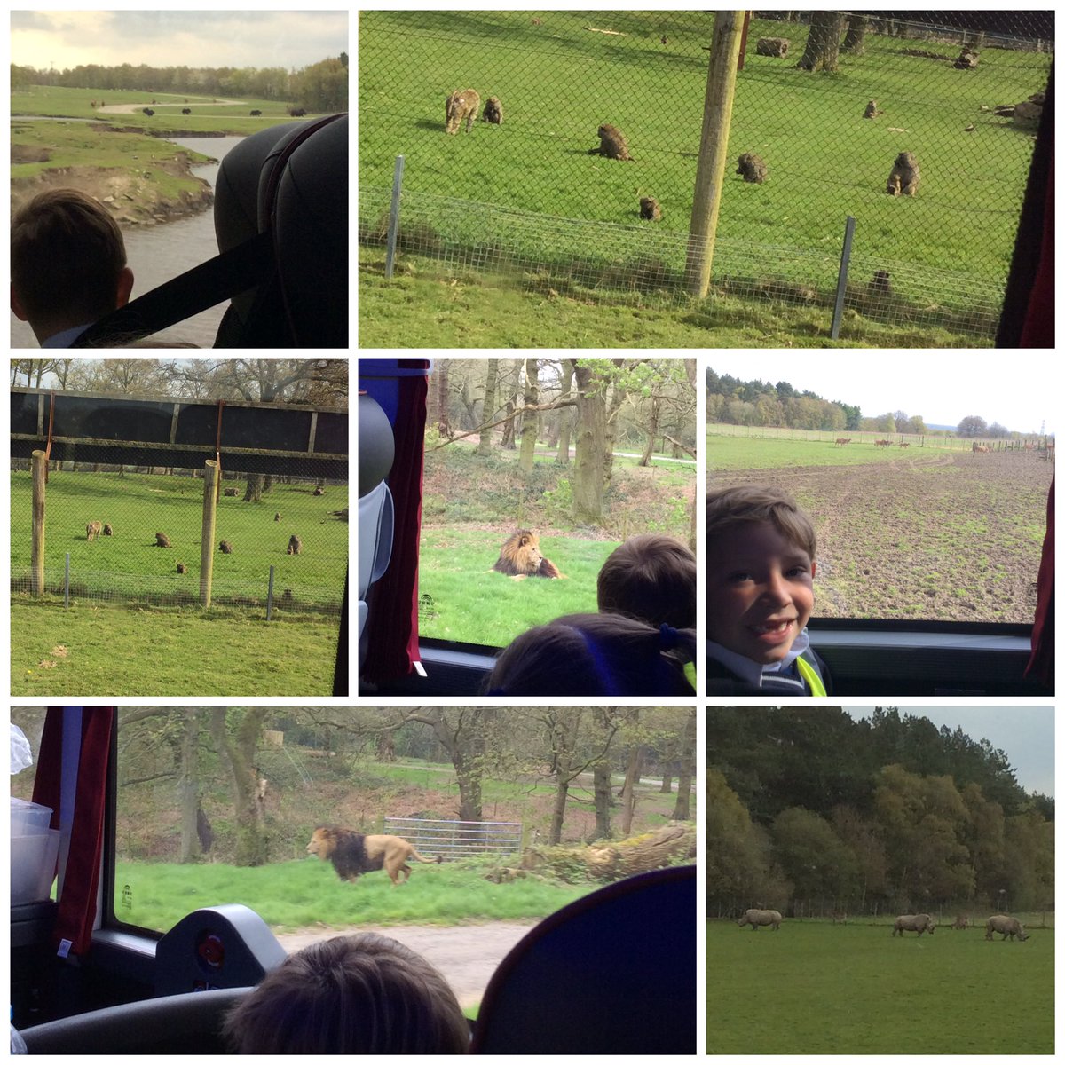 FPS_1_Giraffes's tweet image. Spotting lots of animals on our safari drive🦁🦏🐪#fpsscience