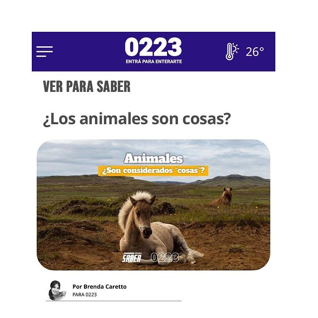 sintientesong's tweet photo. #LeySintientes EN LOS MEDIOS - #SentientLaw IN THE MEDIA ✊🏼

✍️ Firmá / Sign our Petition

https://t.co/extRNkCZpd 

#DerechosAnimales #AnimalRights #Argentina 

🙏🏻❤️🐾🌱🌎✊🏼 https://t.co/8nJZRKZ1BQ