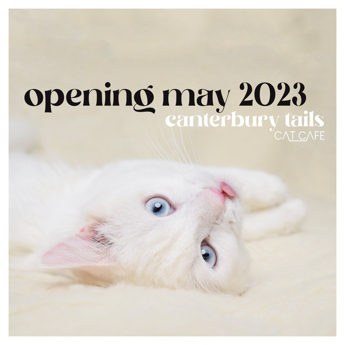 WE ARE OPENING MAY 2023!
Thank you  everyone for the ongoing support
Go to canterburytails.co.uk for FAQs &amp; join our mailing list to be fur-st in line to get your paws on opening day updates, full site access and pre-booking (coming very soon!)
We can't wait to meet mew!