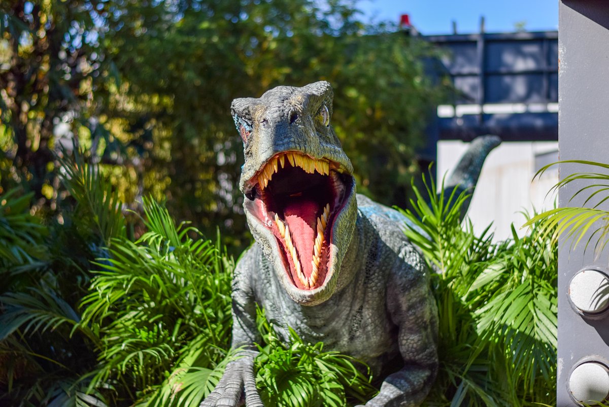 UniversalORL's tweet photo. This Blue is staying ✔️ https://t.co/xjTBwfgjOf