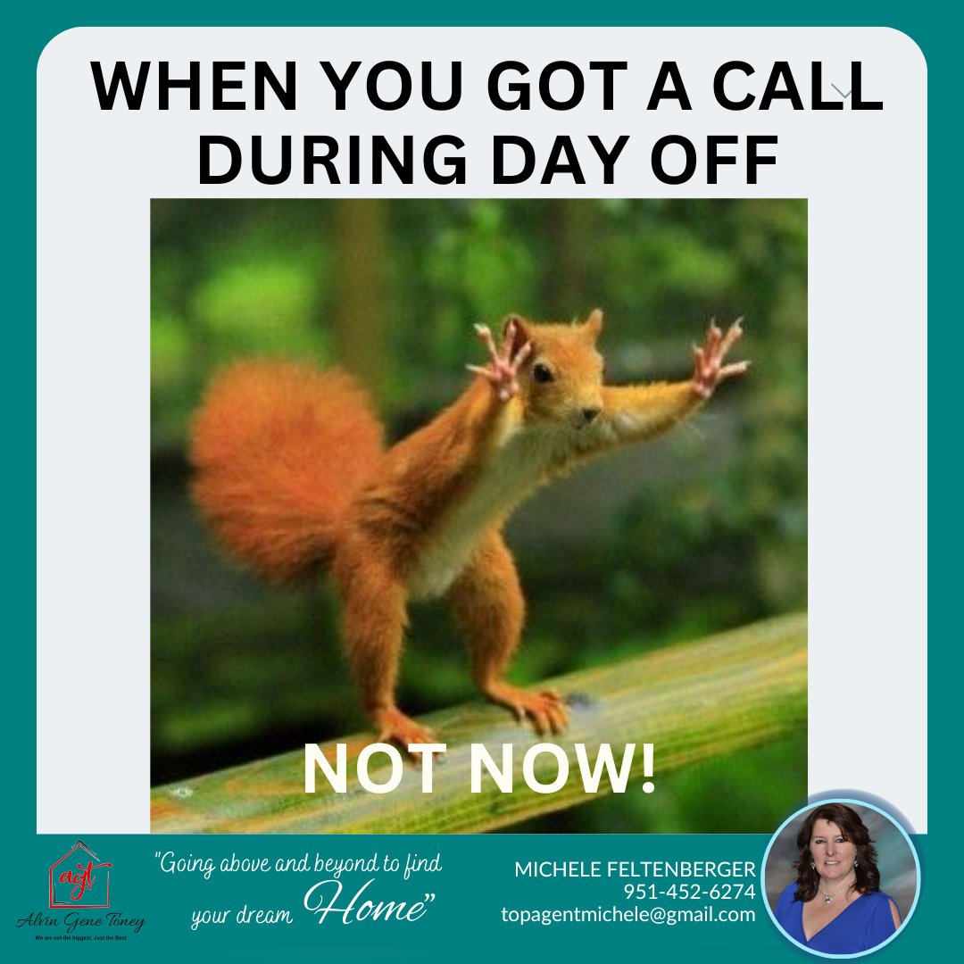 chllbby's tweet image. When you finally have a day off and your phone rings... 'Sorry, can't talk, I'm busy doing nothing today. 😂📱🙅‍♀️

#realtorlife #memes #firstyearstruggles #MorenoValleyHomes #MorenoValleyRealtor #ReaEstate #MicheleFeltenbergerRealtor #DayOffStruggles #NoWorkAllowed #JustWannaRelax