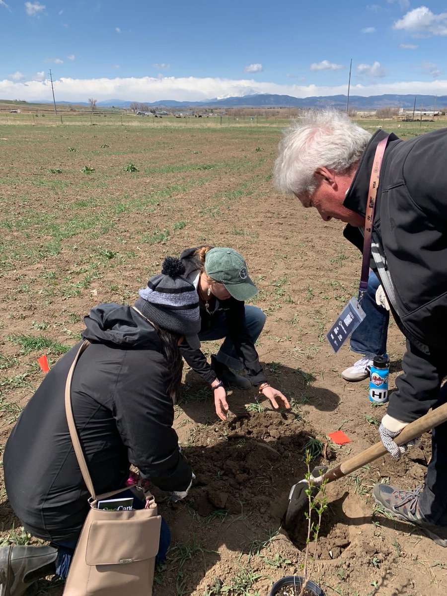 forestscanada's tweet photo. Our team has had a great time meeting, learning, and connecting with forestry sector professionals from around the world at this year's Forest Fest Conference, including @onetreeplanted's amazing team! 🌱 https://t.co/Zh8plmug5T