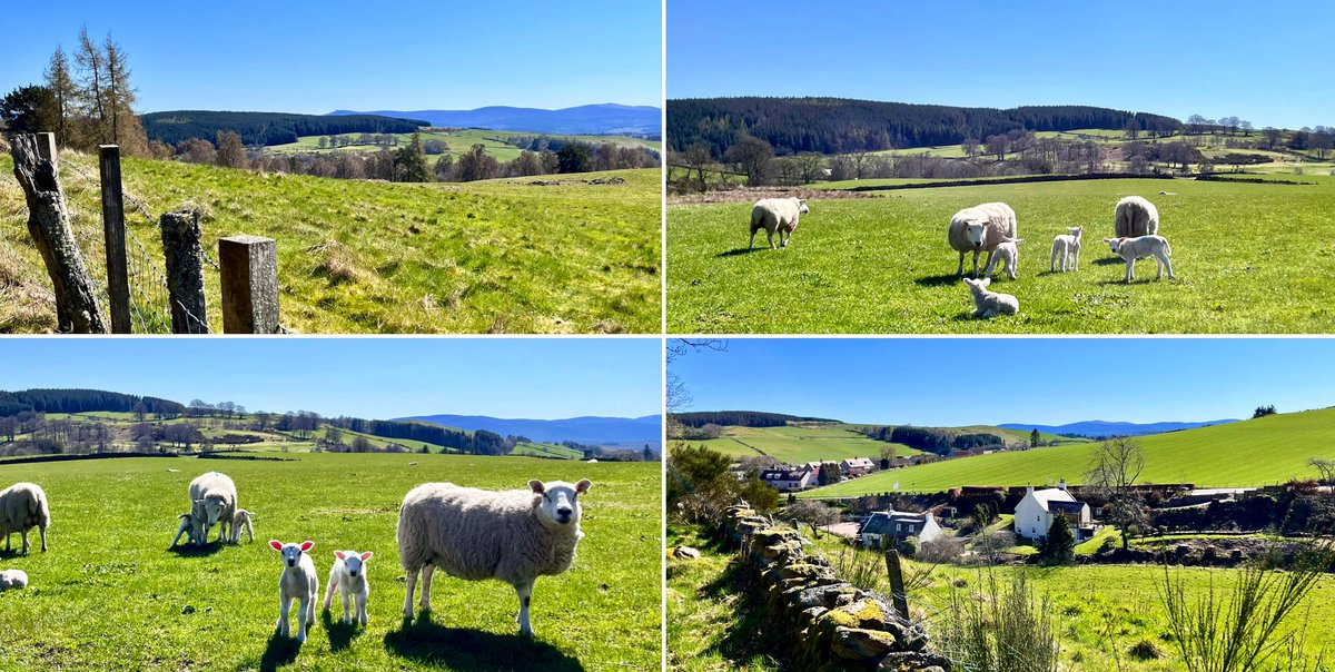 TheMackWalks's tweet photo. Yesterday, Lumphanan💙 #walking #lumphanan #aberdeenshire #walkingaberdeenshire https://t.co/F3d77O2DNV