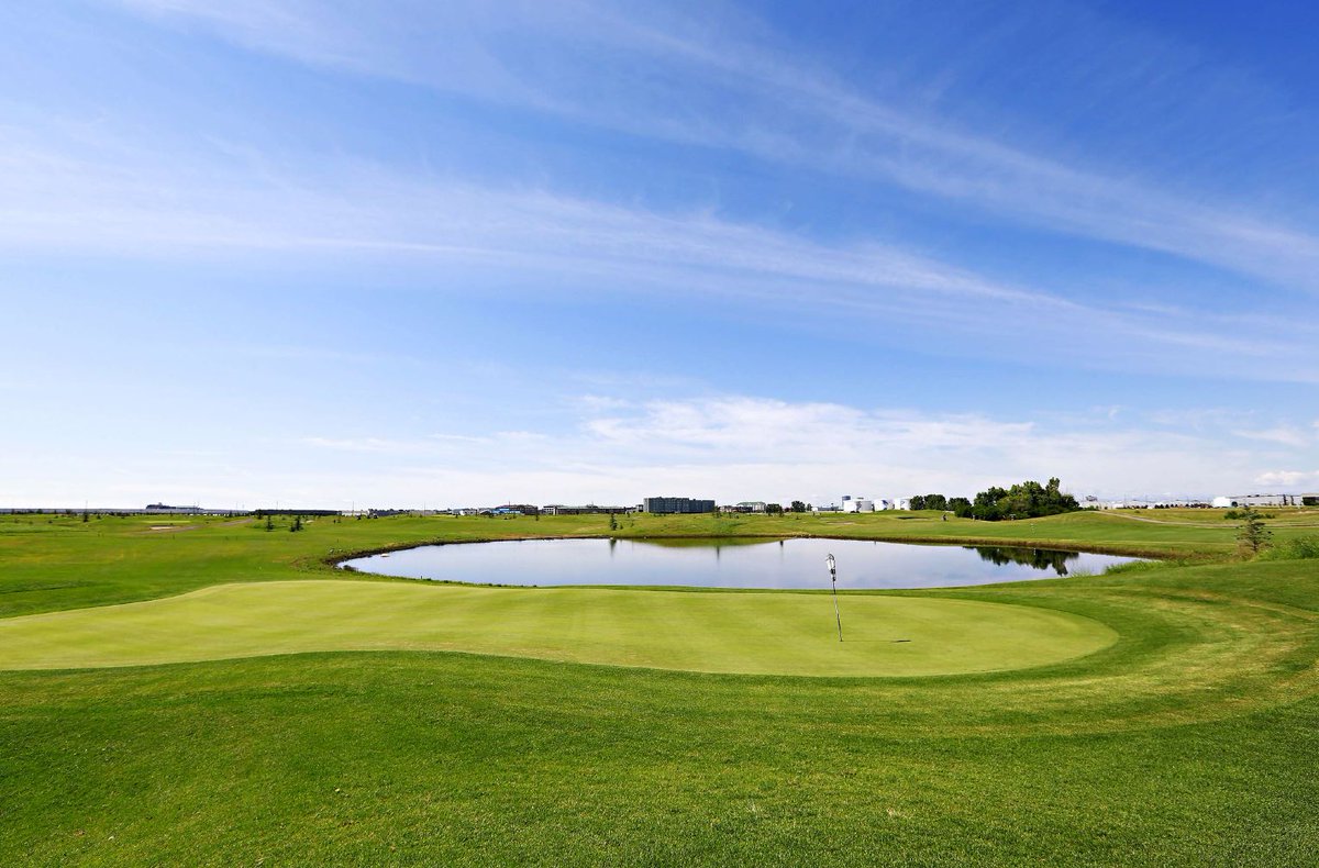CAHF_73's tweet photo. Calling all golfers! Join us @Wingfieldgolf on September 13 to celebrate our 50th Anniversary! Registration is available on our landing page at: https://t.co/cFz0otksTc The tournament includes a full day of golf, lunch and gift bags! #Aviation #Canada #CAHF50 #Golf #YYCgolf #CAHF https://t.co/ilclWaCO1U