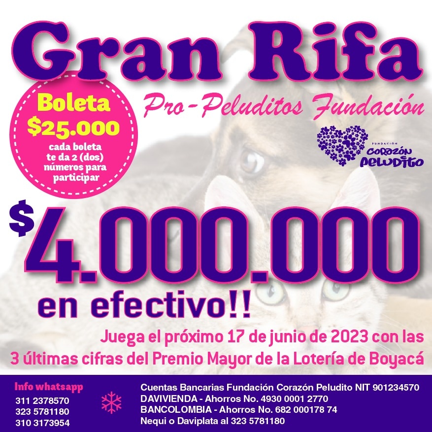 🎊Gran rifa de 4 MILLONES de pesos👏🎉
🗓 Juega el 17 de junio con las tres últimas cifras del Premio Mayor Lotería de Boyacá. 
✅️ Cada boleta que adquieras te dará dos números para participar, por tan sólo $25,000.
Escríbenos al WhatsApp 3235781180. 🥰