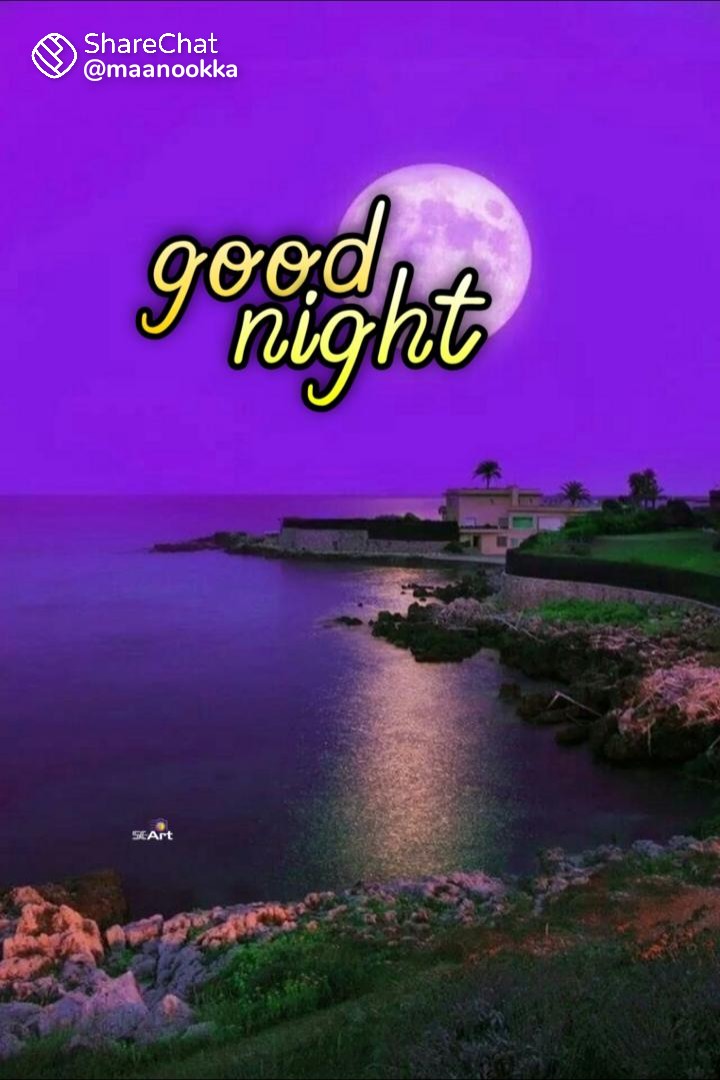 ShanavasKothik3's tweet image. 