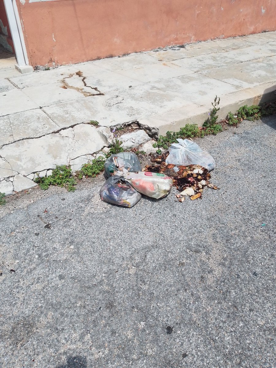 YamySaadi's tweet photo. @AyuntaMerida van más de 15 reportes porque Recolección de residuos Pamplona no se lleva la basura o la deja en la calle ocasionando que carros y/o animales rompan las bolsas y  esparzan la basura por la vía pública. Hasta cuándo le darán solución? https://t.co/JHSP9ggCLK