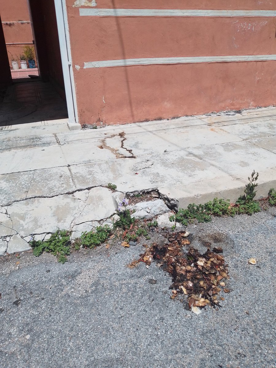 YamySaadi's tweet photo. @AyuntaMerida van más de 15 reportes porque Recolección de residuos Pamplona no se lleva la basura o la deja en la calle ocasionando que carros y/o animales rompan las bolsas y  esparzan la basura por la vía pública. Hasta cuándo le darán solución? https://t.co/JHSP9ggCLK