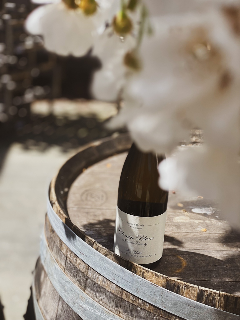 🍋NEW ARRIVAL #2🍋 This Chenin Blanc from the Sierra Foothills is the perfect mix of California fruit and alpine acidity! Allocations open until May 3rd.💛
pax-mahle-wines.obtainwine.com/collection/bot…