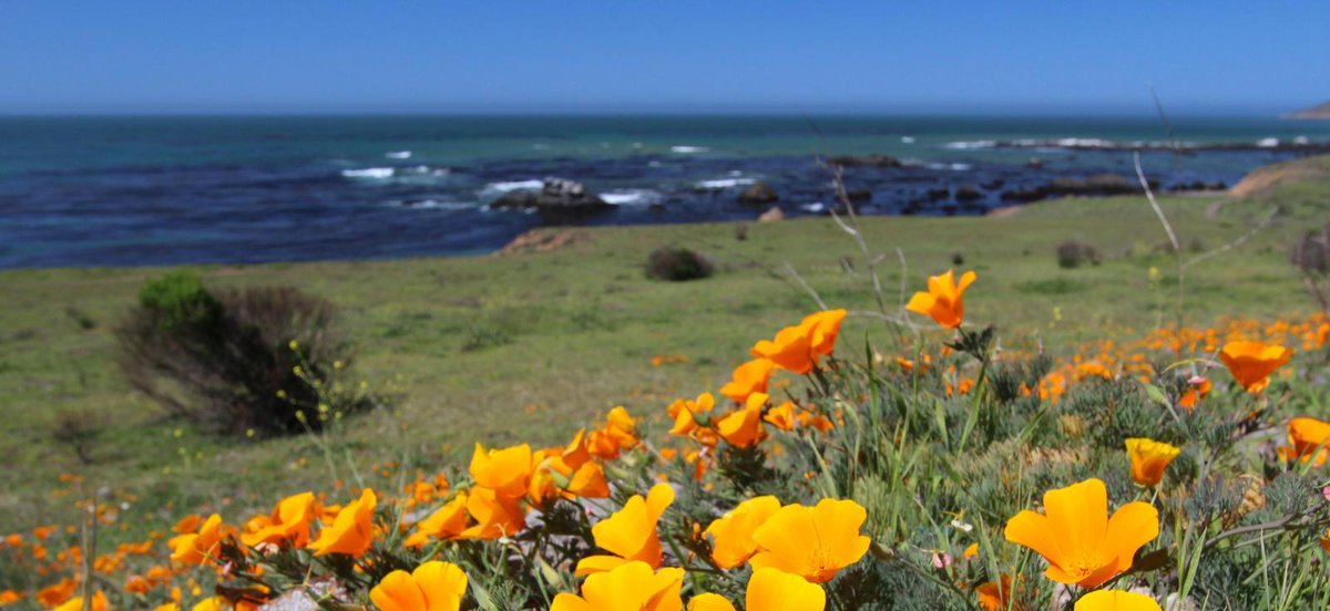 City of Santa Cruz Economic Development tweet media