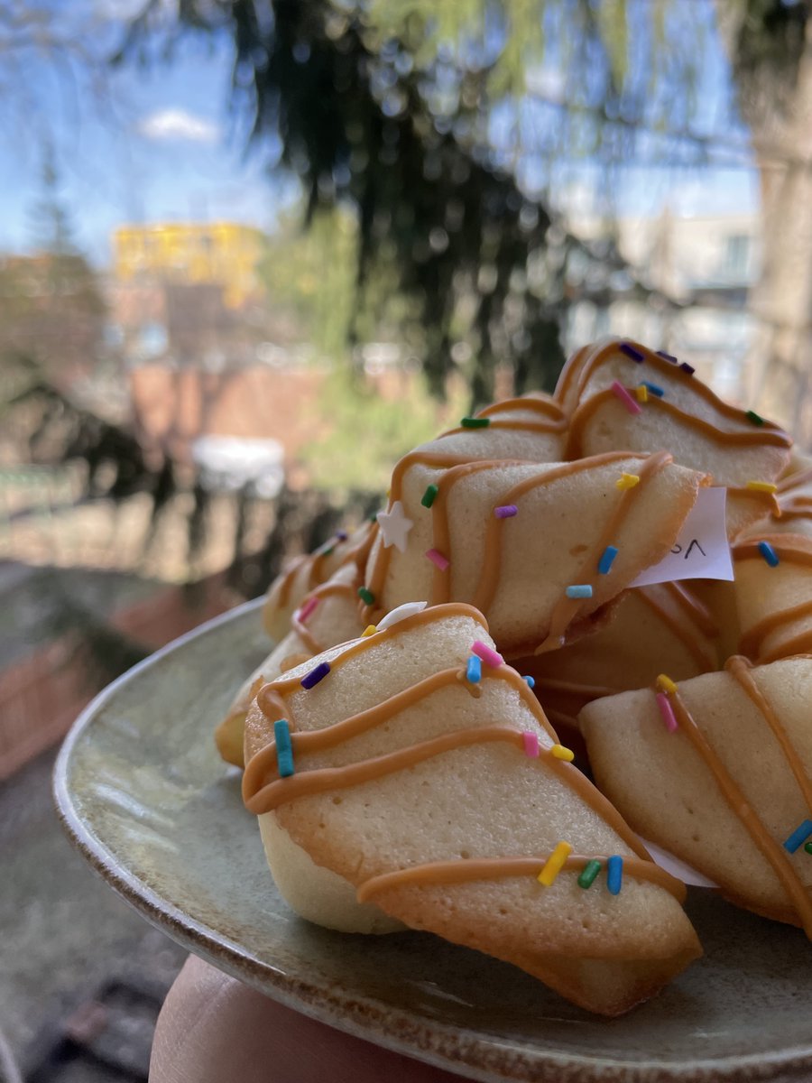 Dr. Katherine Cook tweet media