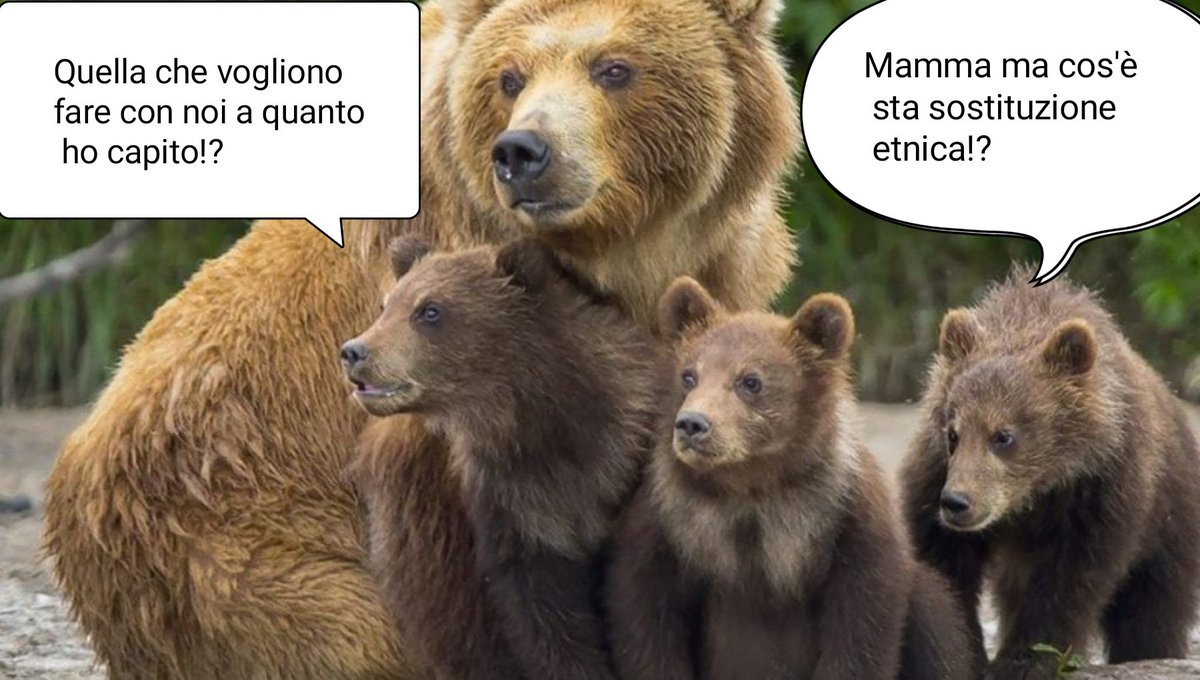 SIMONE CARICATO tweet media