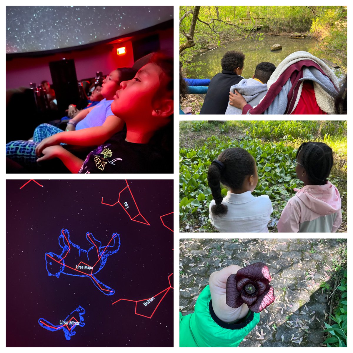 Caroline (McAleer) Ross (@mrs_rossclass) on Twitter photo Highlights from our week include a nature walk with <a href="/CampbellOutside/">Amanda Lowenberger</a> and a trip to the planetarium! <a href="/CampbellAPS/">Maureen Nesselrode</a> Highlights from our week include a nature walk with <a href="/CampbellOutside/">Amanda Lowenberger</a> and a trip to the planetarium! <a href="/CampbellAPS/">Maureen Nesselrode</a>