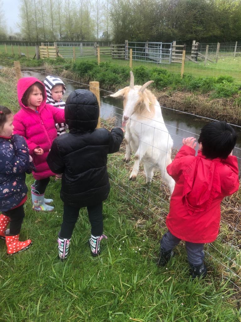 HarfieldMrs's tweet photo. Reception have had a wonderful day @Walnuttreefarm2 kicking off our new topic! We’ve fed the animals, had a tractor ride and walked our wellies off 🐷🐴🐄🐖🐔🐑@llandaffcity https://t.co/GaW3vGeDZQ