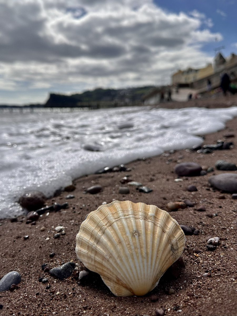 BlithSpirit's tweet photo. You don't get into something to test the waters. You get into things to make waves   @PiersSociety @Teignbridge @teignnews @VisitDevon @TeignmouthLove @TeignTourism @TeignmouthPier @TeignHeritage @ClubTeignmouth https://t.co/9BJum9RxmR