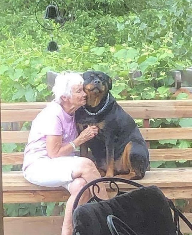 A really wholesome moment spotted