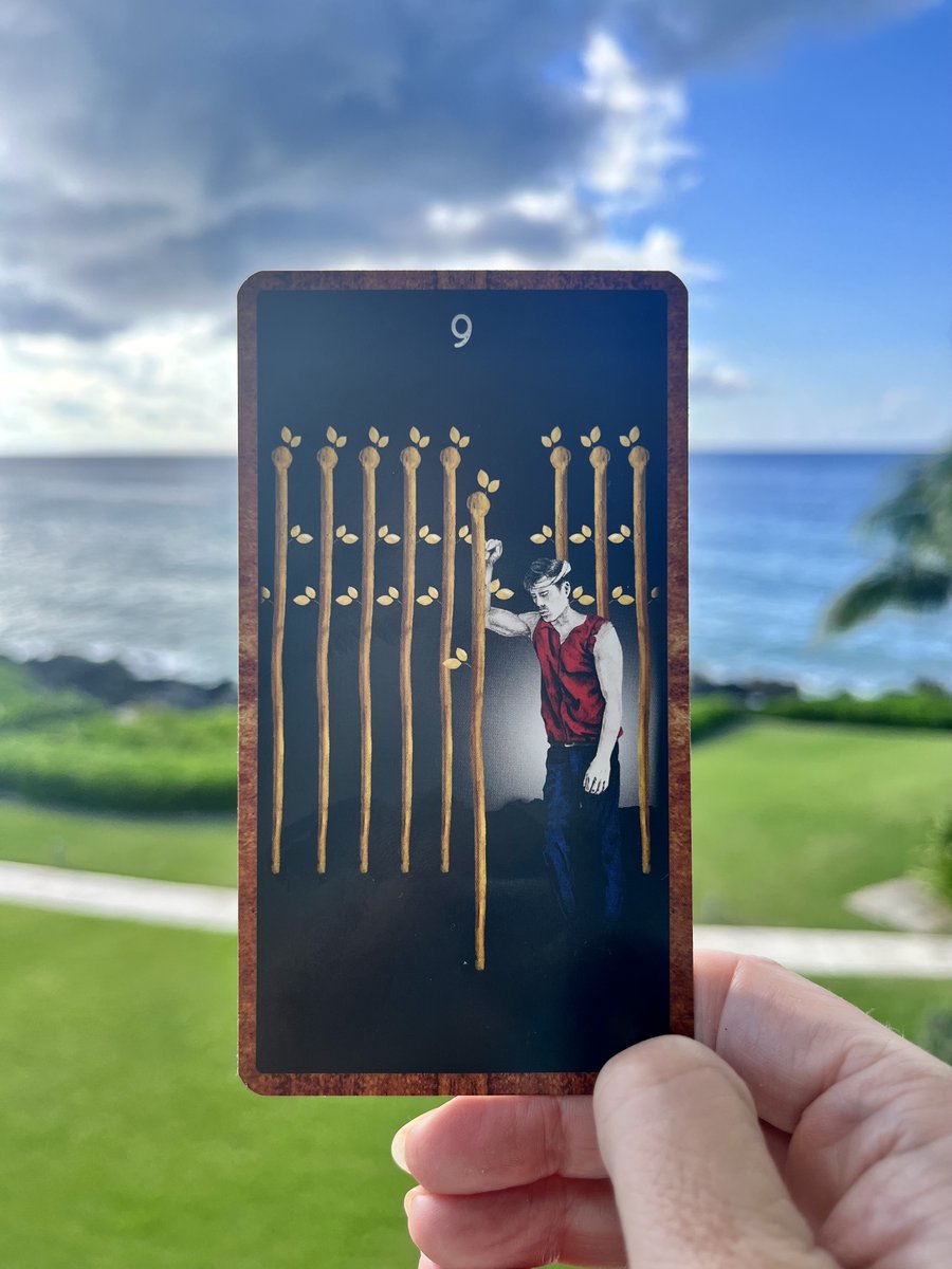 Latest post on #WordCraft is up, a newsletter for writers, creators, intuitives & those who like a good gif to accompany their text. This week's post: 'Two steps forward, one step back.' (Featuring the Nine of Wands) substack.com/inbox/post/116… #WritingCommunity #writingtips #tarot